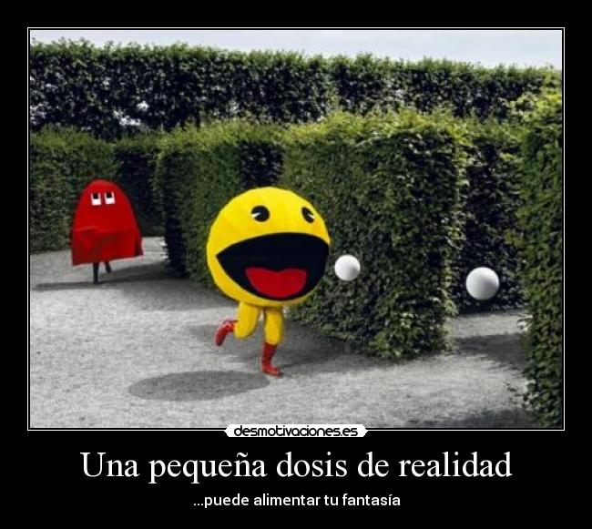 Una pequeña dosis de realidad -
