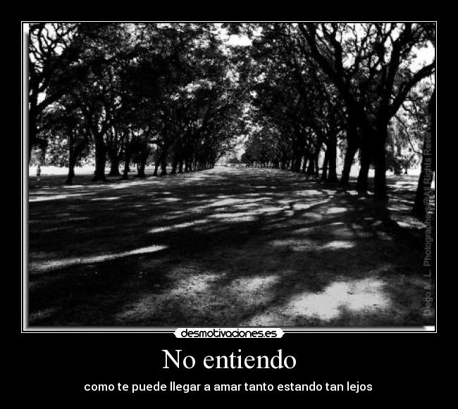 No entiendo -