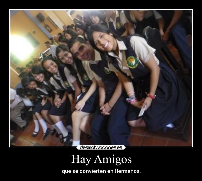 Hay Amigos - 