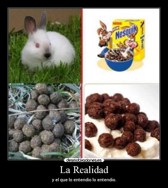 La Realidad - y el que lo entendio lo entendio.