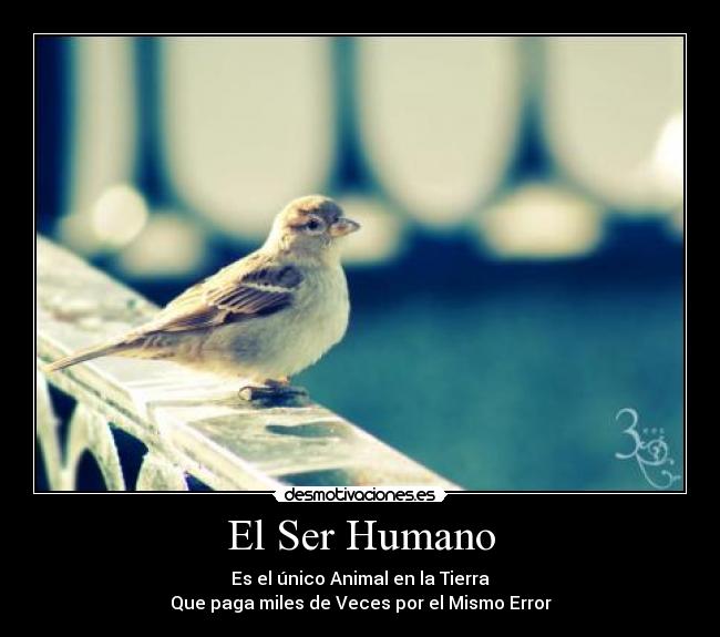 El Ser Humano - 