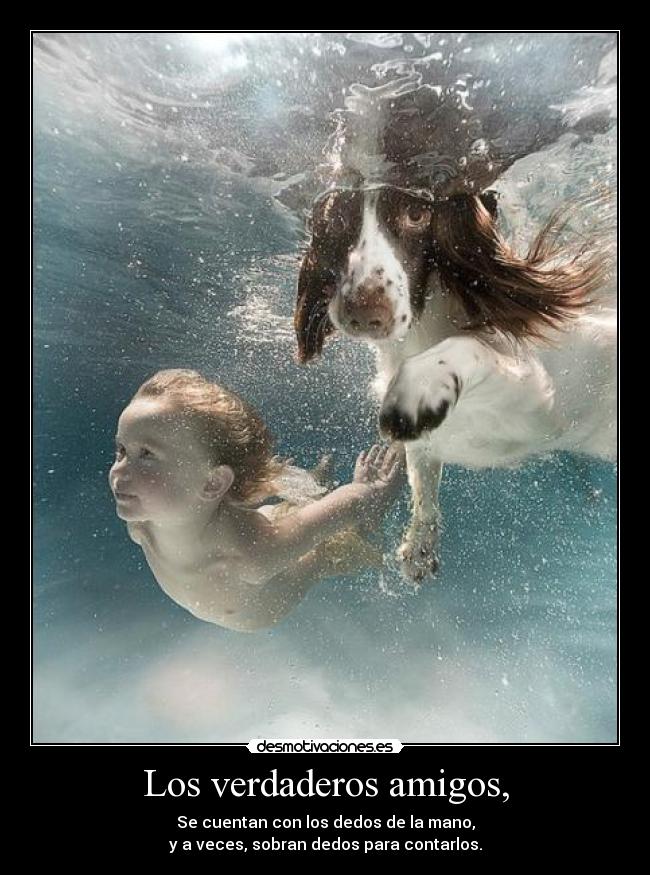 Los verdaderos amigos, - Se cuentan con los dedos de la mano,
y a veces, sobran dedos para contarlos.