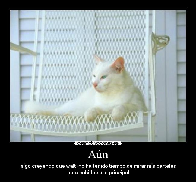 Aún - sigo creyendo que walt_no ha tenido tiempo de mirar mis carteles
 para subirlos a la principal.