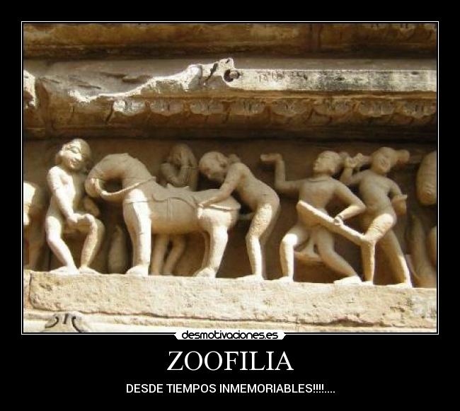 ZOOFILIA -