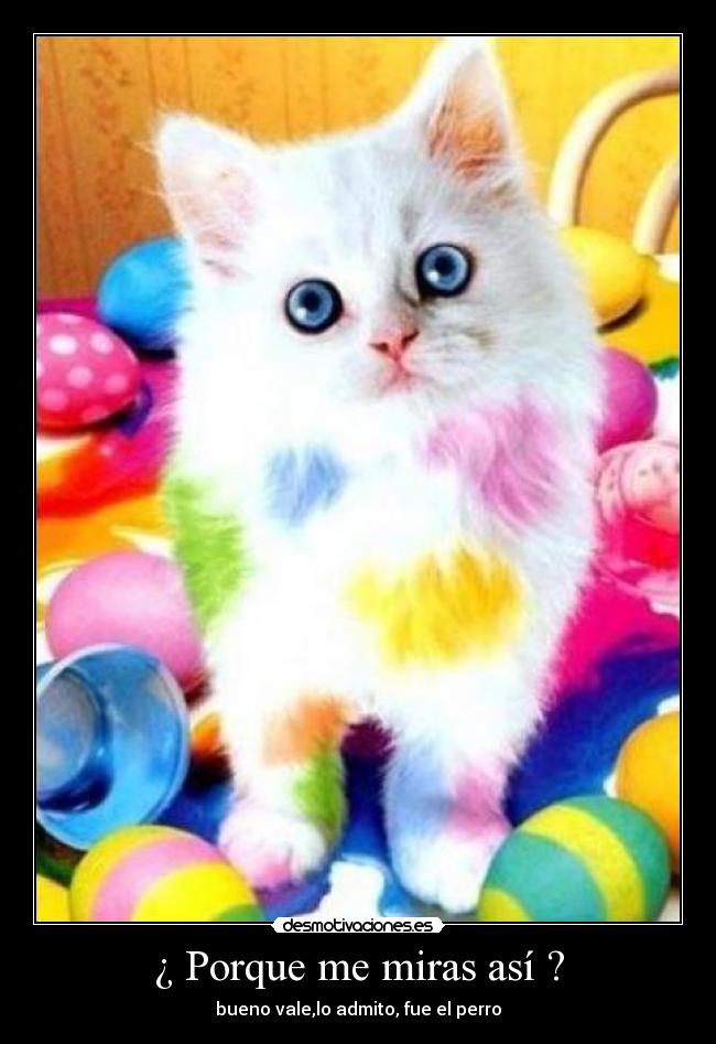 ¿ Porque me miras así ? -