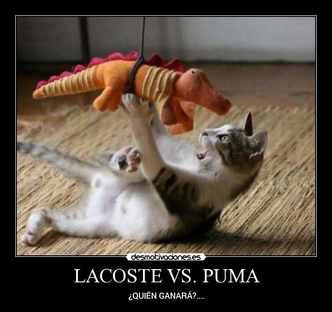 LACOSTE VS. PUMA - 