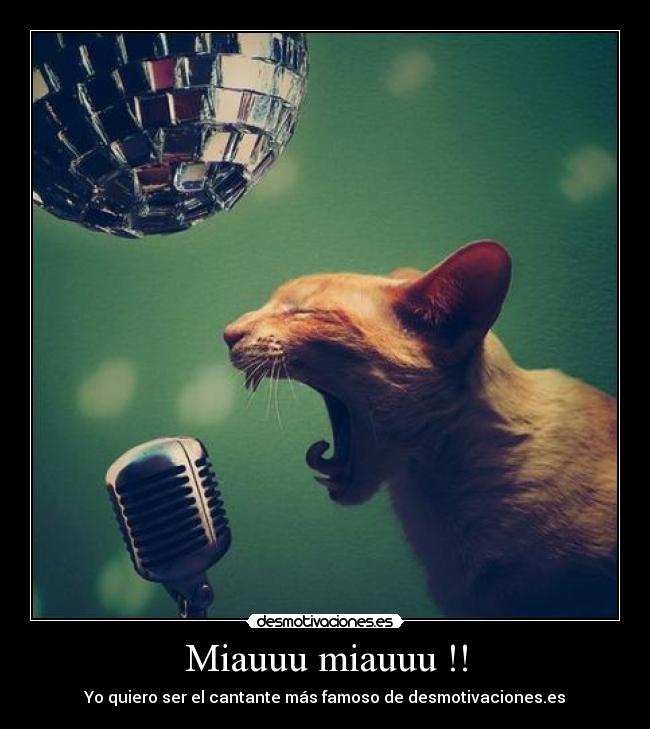 Miauuu miauuu !! - 