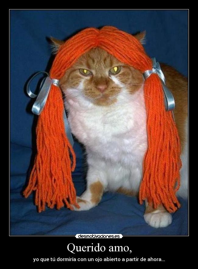 Querido amo, - yo que tú dormiría con un ojo abierto a partir de ahora...