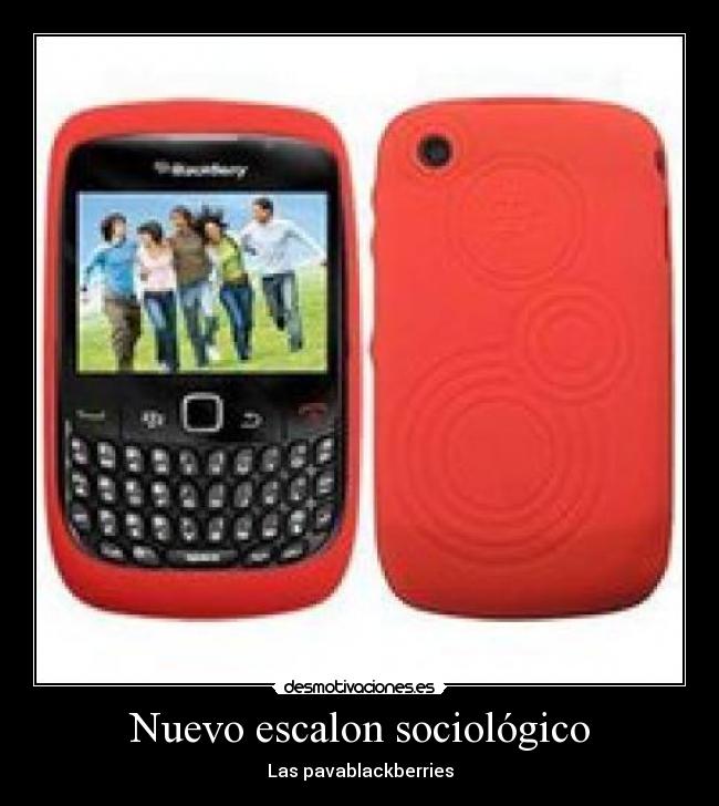 Nuevo escalon sociológico - Las pavablackberries
