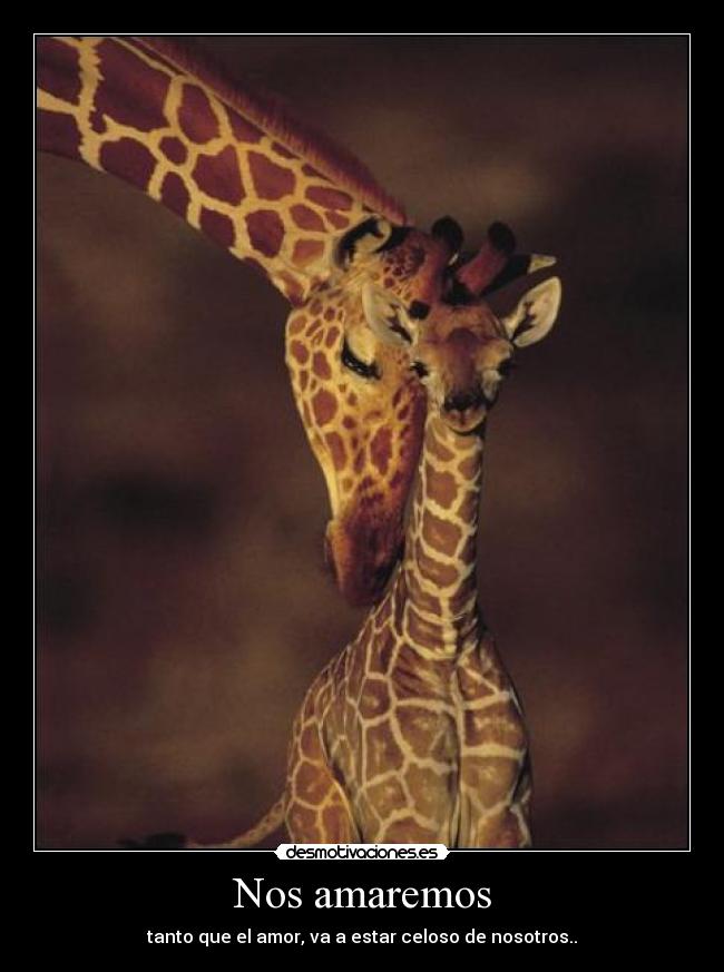 Nos amaremos - 
