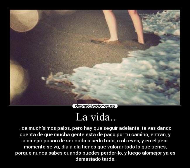 La vida.. - ..da muchísimos palos, pero hay que seguir adelante, te vas dando
cuenta de que mucha gente esta de paso por tu camino, entran, y
alomejor pasan de ser nada a serlo todo, o al revés, y en el peor
momento se va, día a día tienes que valorar todo lo que tienes,
porque nunca sabes cuando puedes perder-lo, y luego alomejor ya es
demasiado tarde.