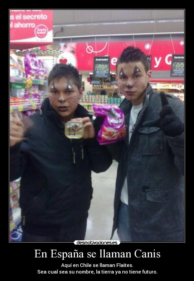 En España se llaman Canis - Aquí en Chile se llaman Flaites.
Sea cual sea su nombre, la tierra ya no tiene futuro.