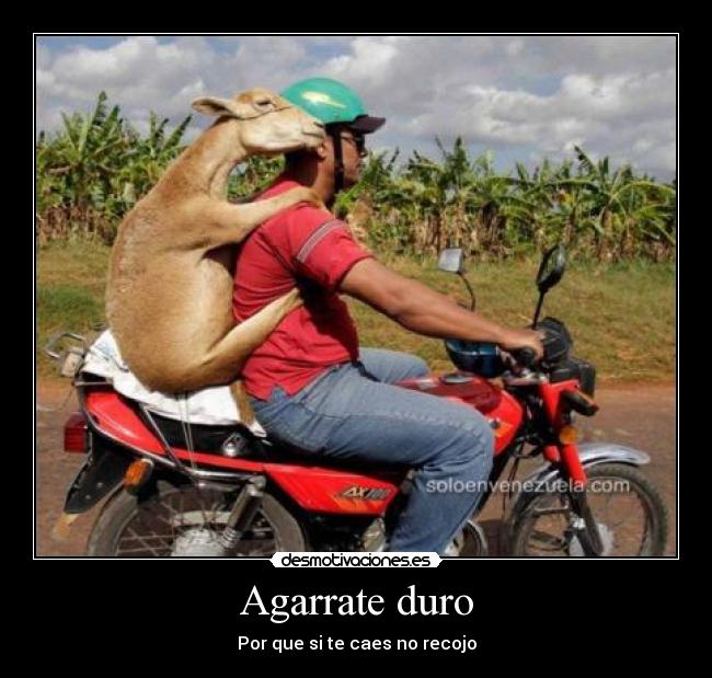 Agarrate duro - Por que si te caes no recojo