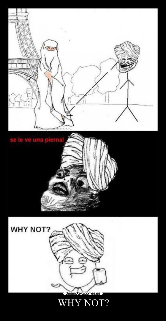 WHY NOT? -