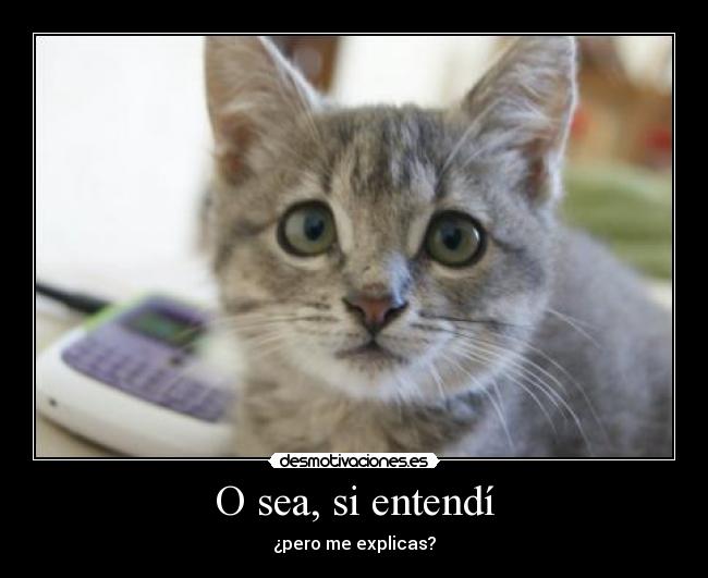 O sea, si entendí -