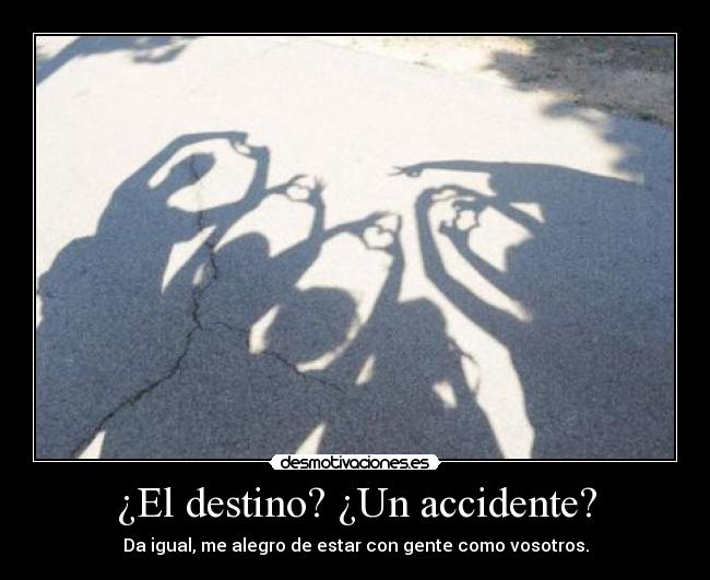 ¿El destino? ¿Un accidente? - Da igual, me alegro de estar con gente como vosotros.