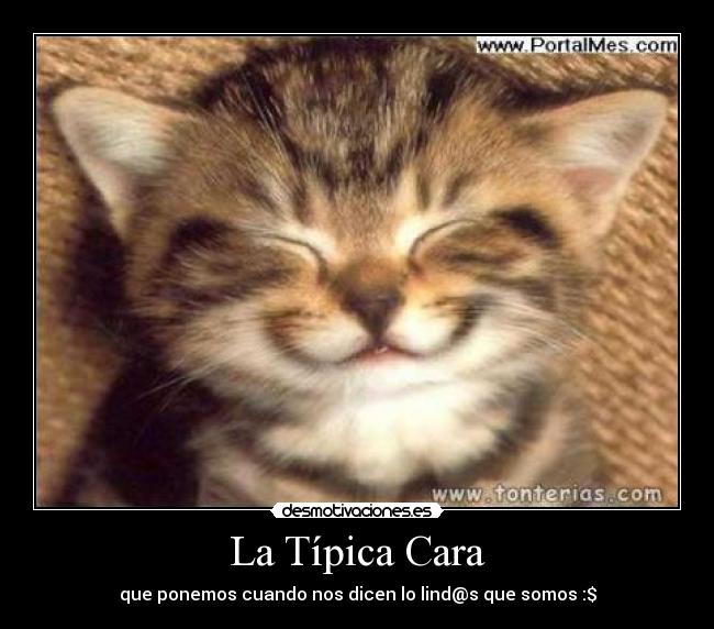 La Típica Cara - que ponemos cuando nos dicen lo lind@s que somos :$
