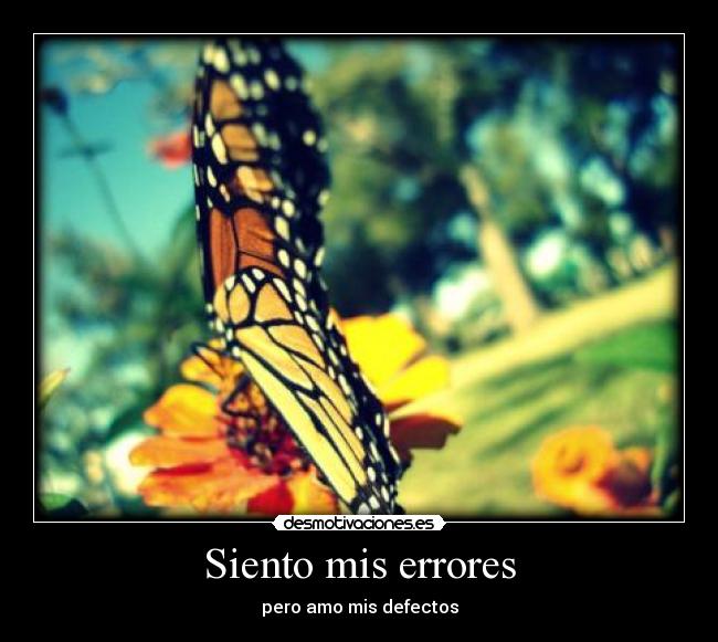Siento mis errores - 