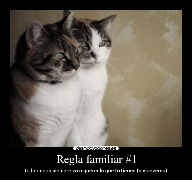 carteles hermanos desmotivaciones