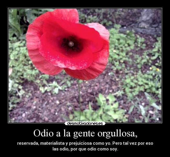 Odio a la gente orgullosa, - reservada, materialista y prejuiciosa como yo. Pero tal vez por eso
las odio, por que odio como soy.