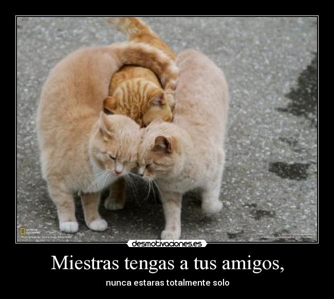Miestras tengas a tus amigos, -