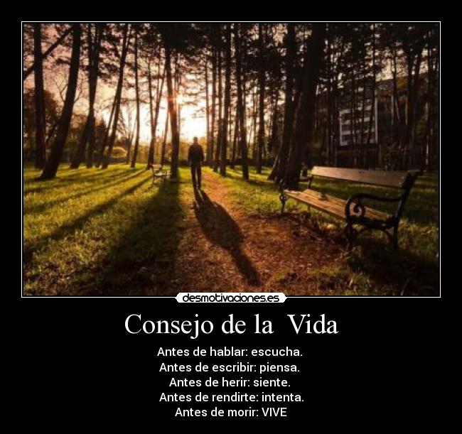 Consejo de la Vida -