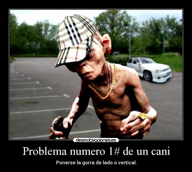 Problema numero 1# de un cani - Ponerse la gorra de lado o vertical.