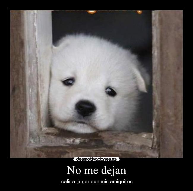 No me dejan -