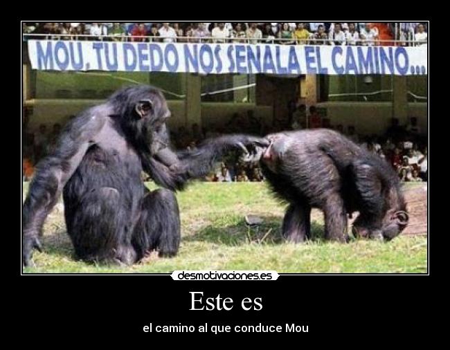 Este es - el camino al que conduce Mou