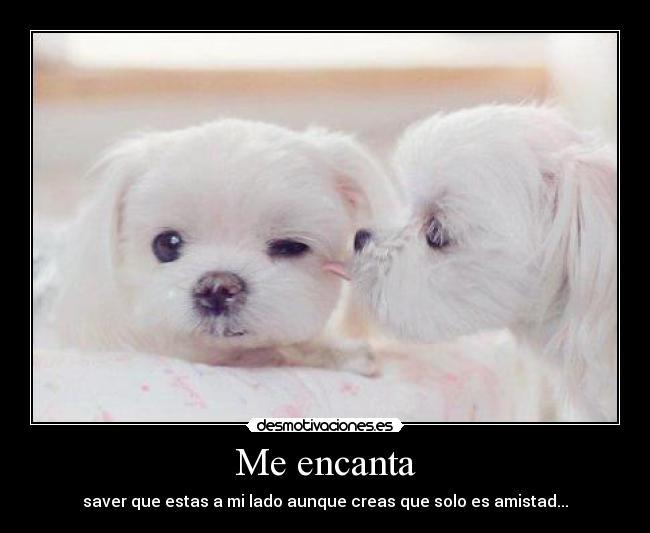 Me encanta - saver que estas a mi lado aunque creas que solo es amistad...