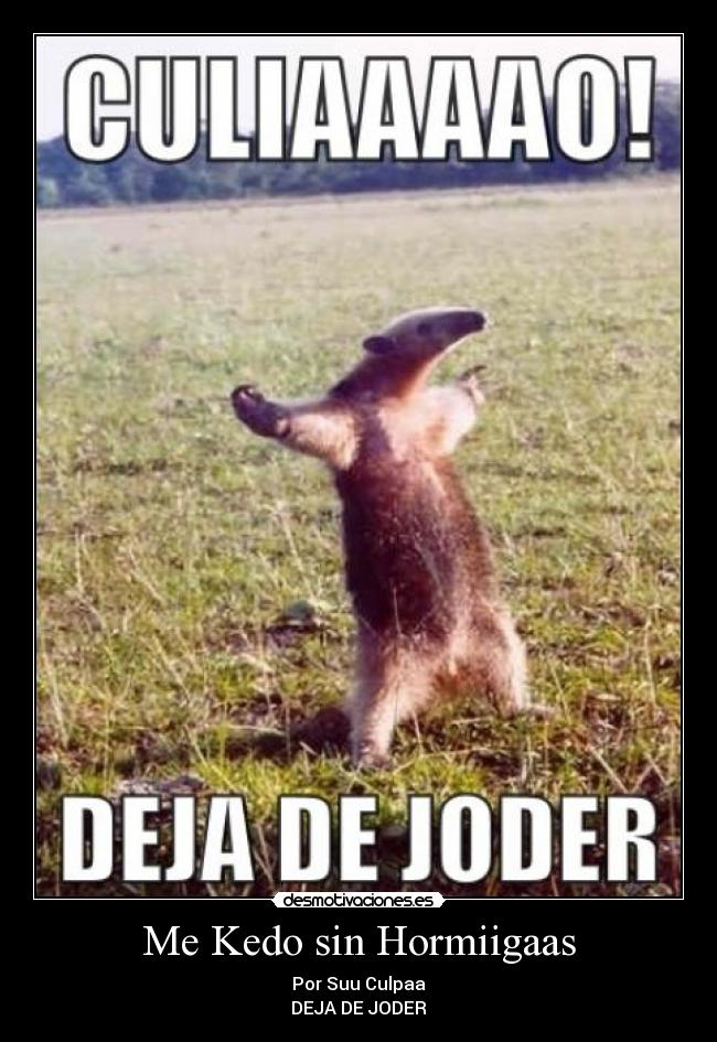 Me Kedo sin Hormiigaas -
