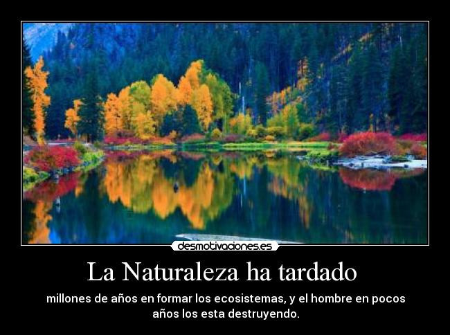 La Naturaleza ha tardado  - millones de años en formar los ecosistemas, y el hombre en pocos
años los esta destruyendo.