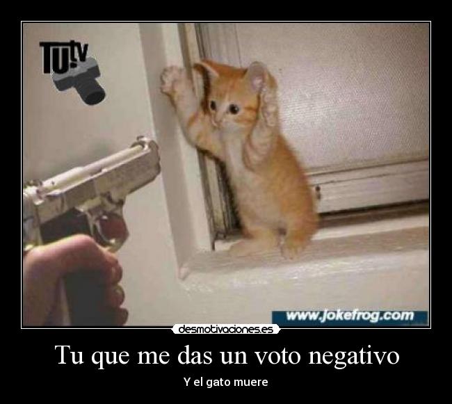 Tu que me das un voto negativo - 