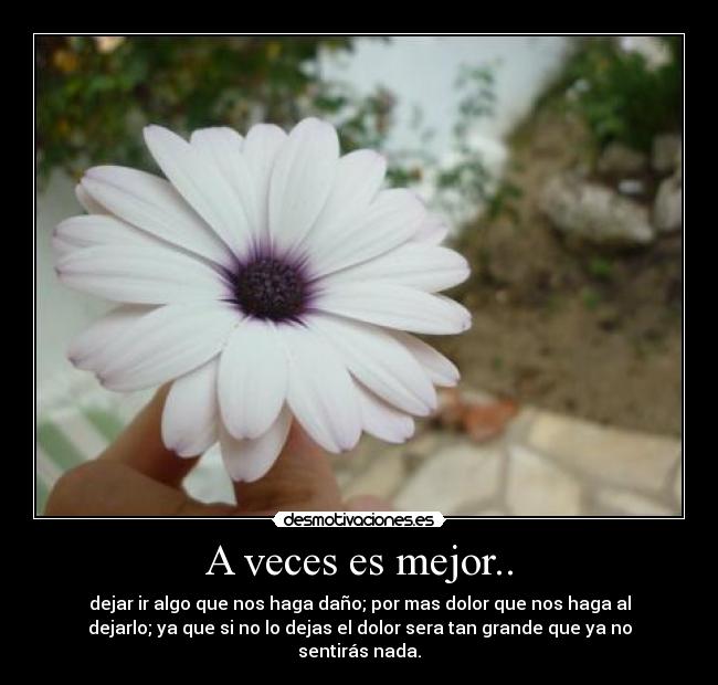 A veces es mejor.. - dejar ir algo que nos haga daño; por mas dolor que nos haga al
dejarlo; ya que si no lo dejas el dolor sera tan grande que ya no
sentirás nada.