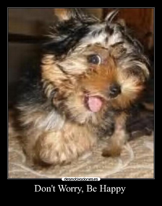 Dont Worry, Be Happy  - 