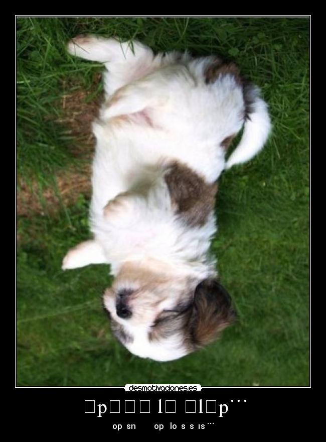 ǝpɹǝʌ lɐ ǝlɐp˙˙˙ - 