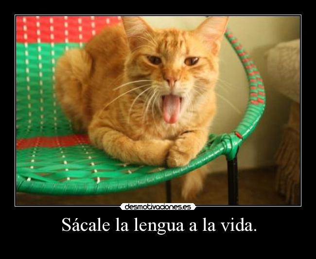 Sácale la lengua a la vida. -