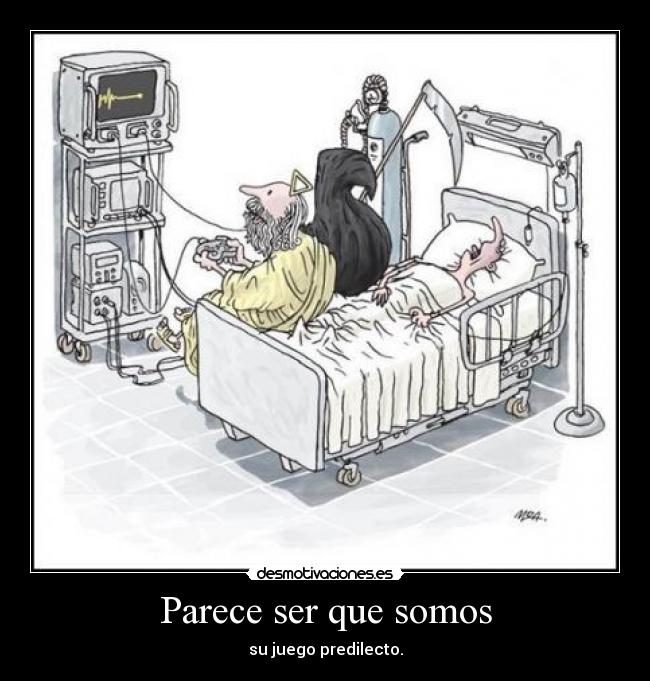 Parece ser que somos - 