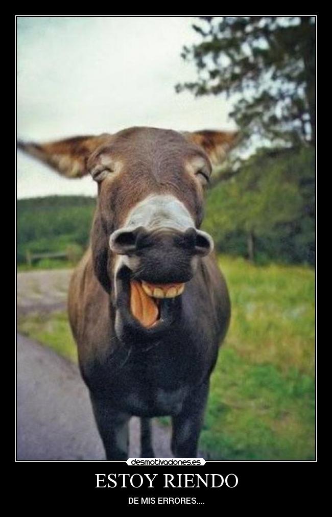 ESTOY RIENDO -