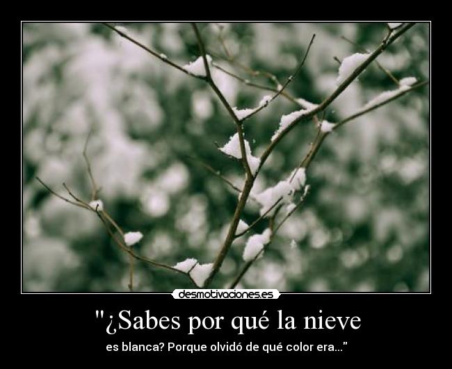 carteles estoy inspirada asi que pongo carteles con frases code geass desmotivaciones