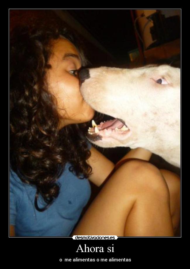 carteles ahora desmotivaciones