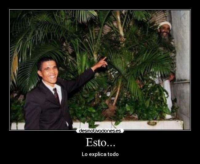 Esto... - Lo explica todo