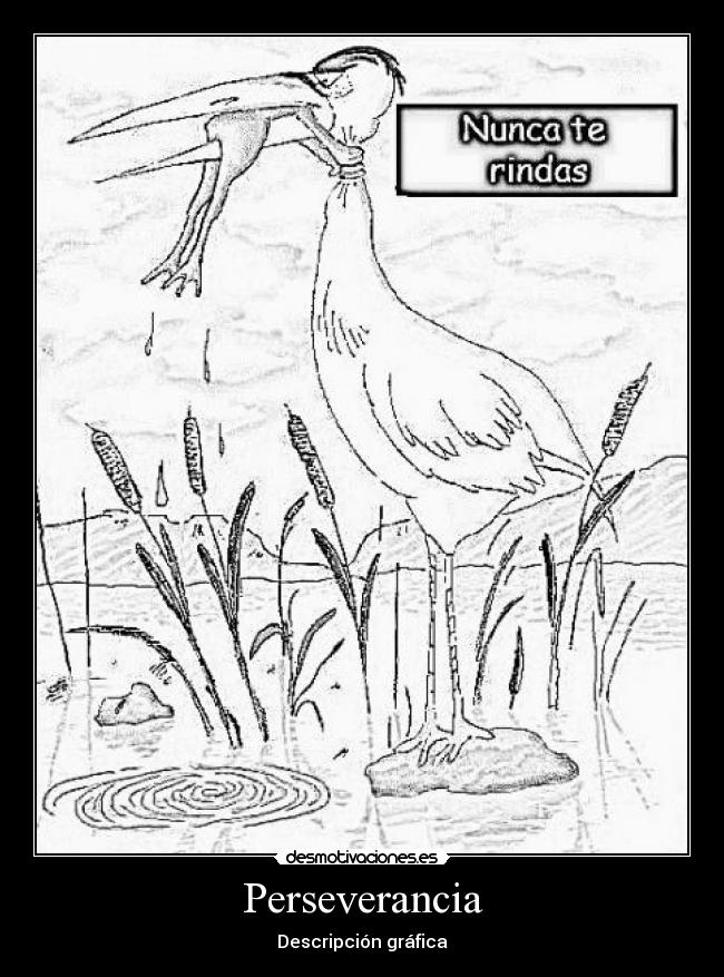 Perseverancia - Descripción gráfica