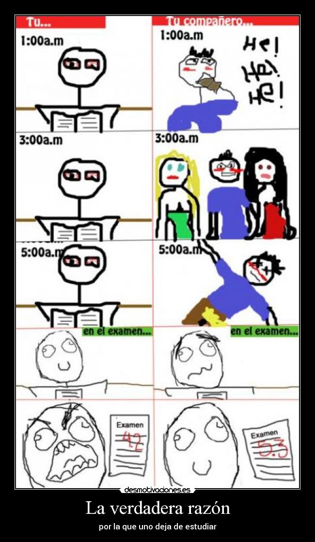 La verdadera razón -