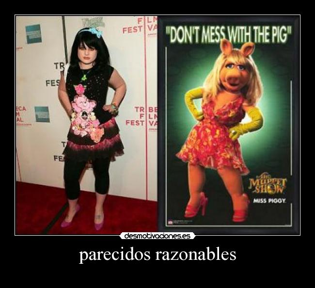 parecidos razonables - 