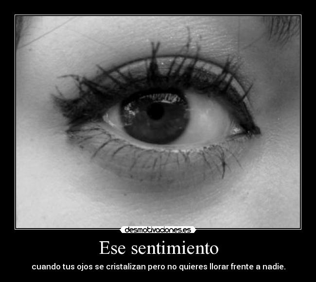 carteles sentimiento llorar desmotivaciones