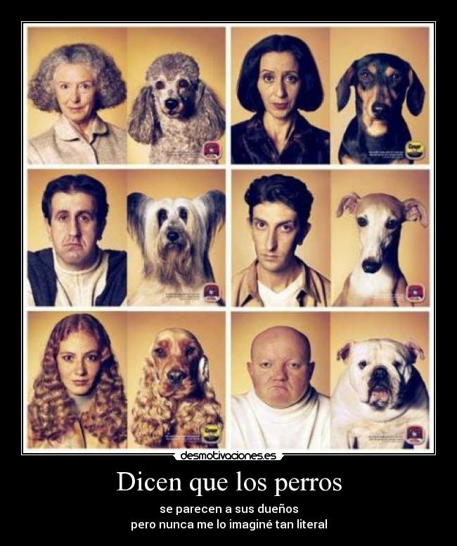 Dicen que los perros - se parecen a sus dueños
pero nunca me lo imaginé tan literal