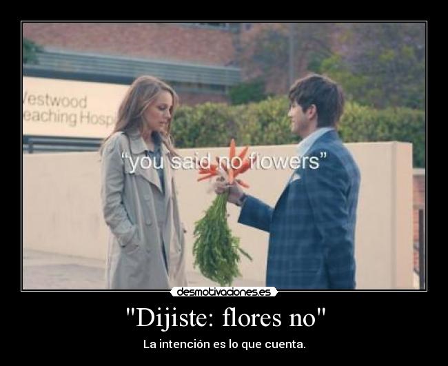 Dijiste: flores no - 