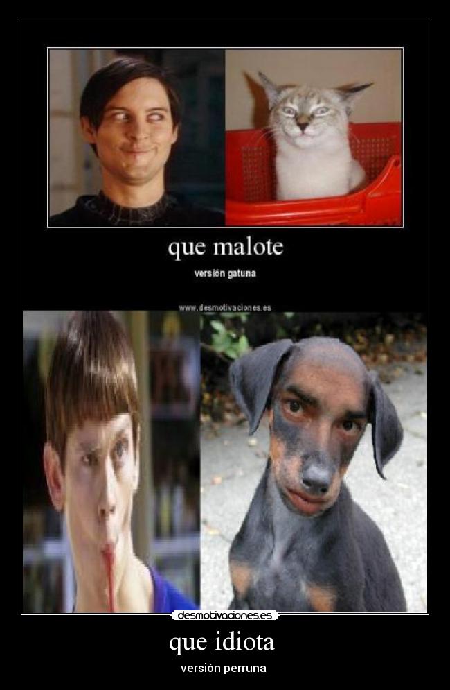 que idiota - versión perruna
