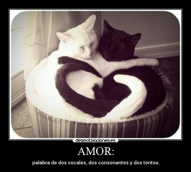 AMOR: - 